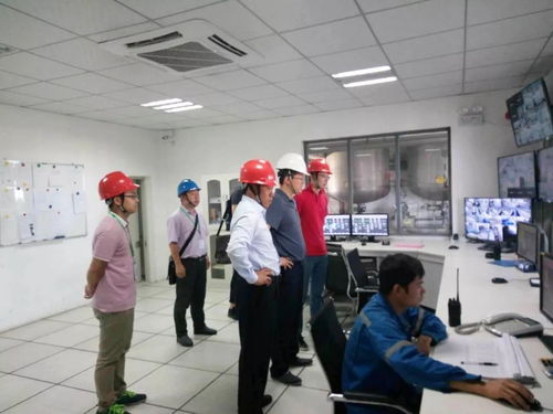 中國紙業總經理張強赴華新包裝珠海工廠開展環保督察暨安全生產檢查