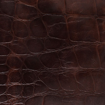 拉美鱷魚皮革制品 應用與廣州高科進出口貿易概覽